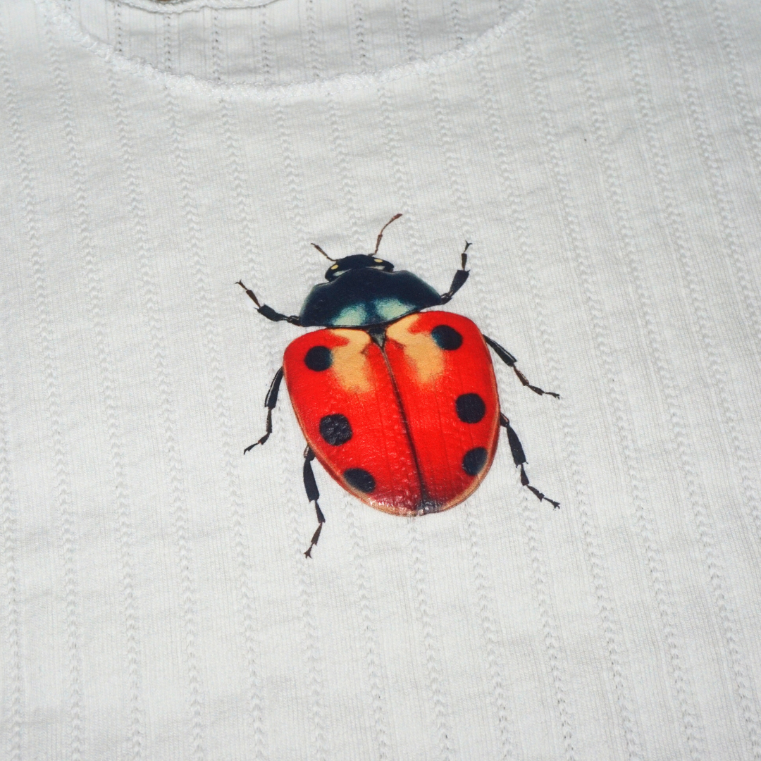 LADYBUG POINTELLE TANK - SMALL